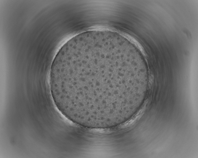 X0000110760855200907271142