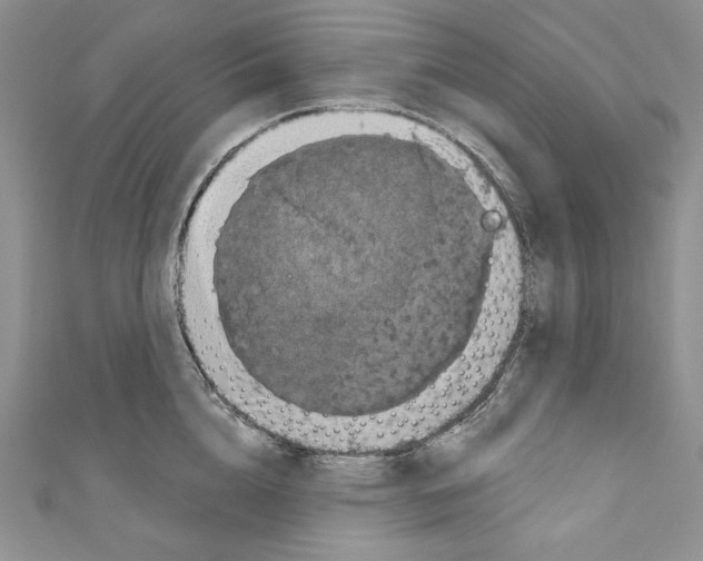 X0000110760856200907271142