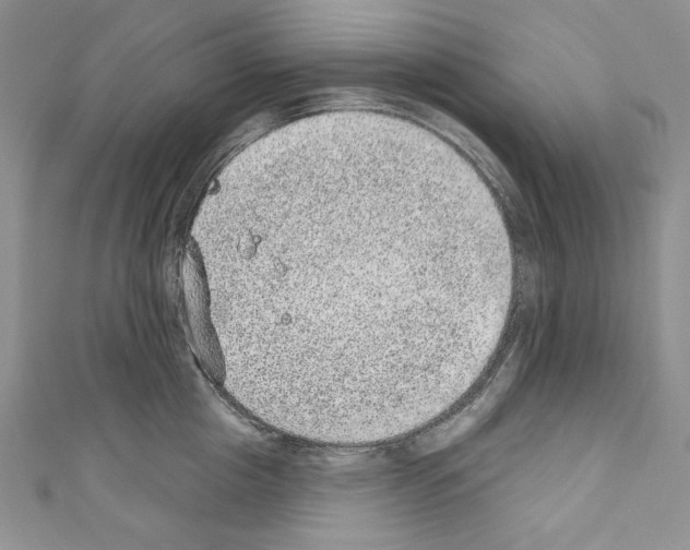 X0000110760857200907271142
