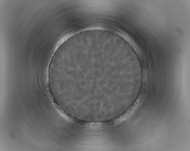 X0000110760858200907271142