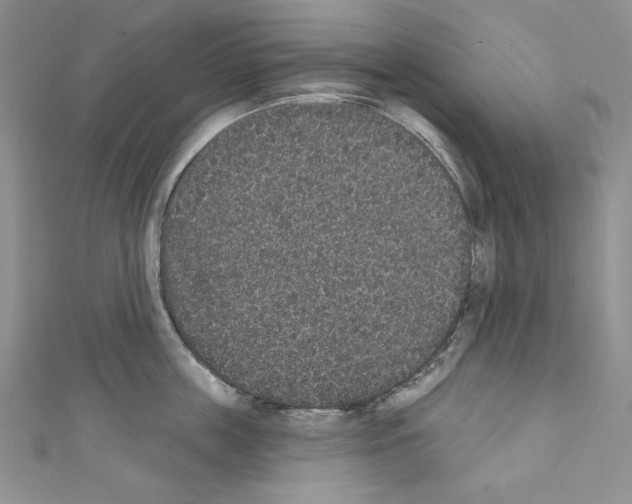 X0000110760859200907271142