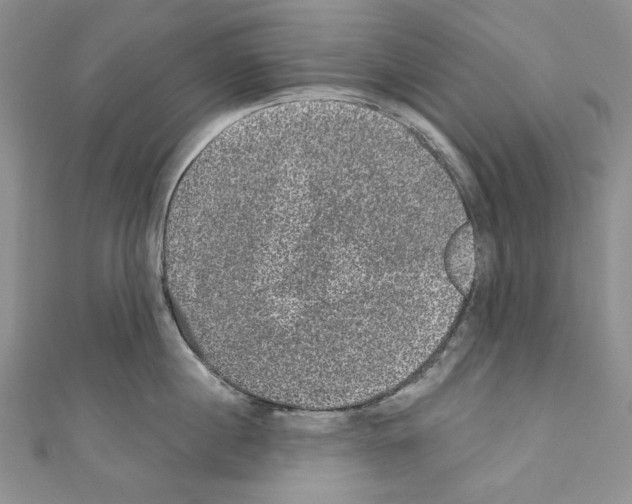 X0000110760860200907271142