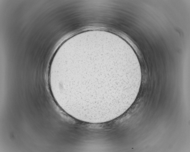 X0000110760861200907271142