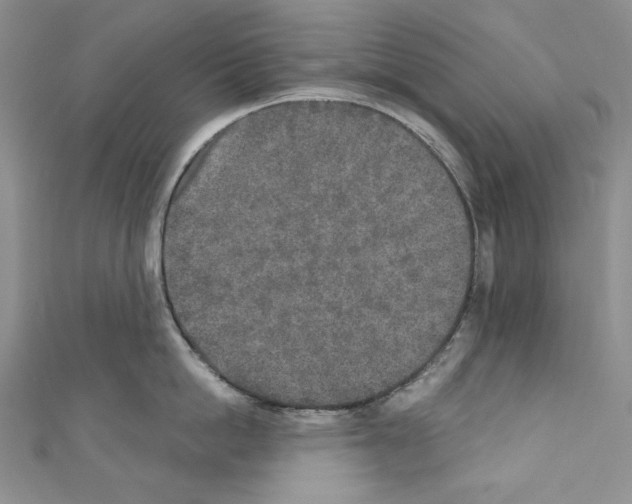 X0000110760862200907271142