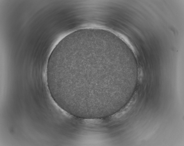 X0000110760863200907271142