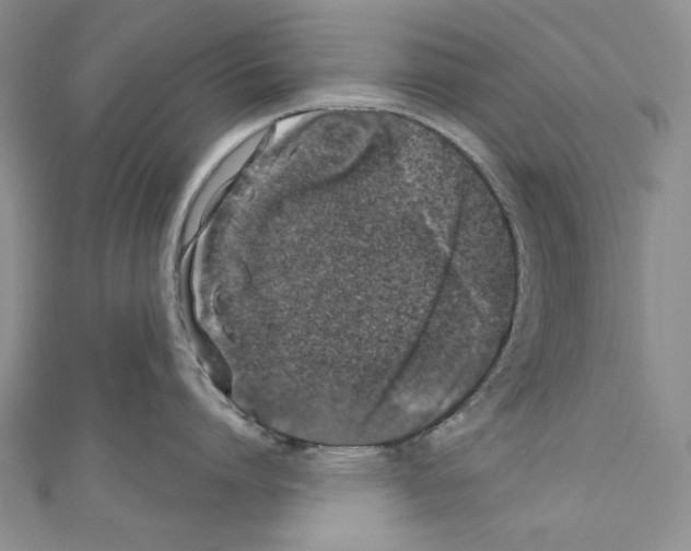 X0000110760864200907271142