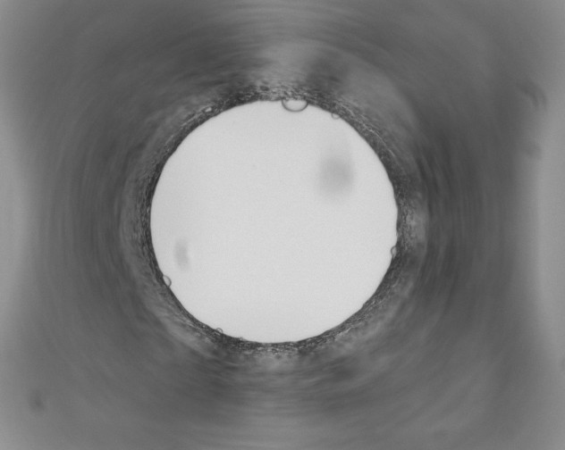 X0000110760865200907271142