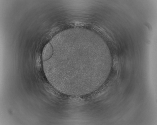 X0000110760866200907271142