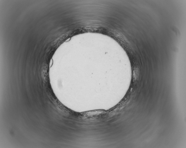 X0000110760867200907271141