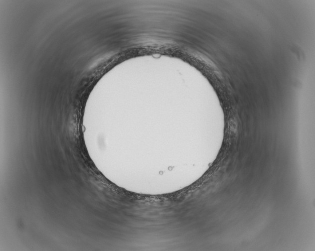 X0000110760869200907271141