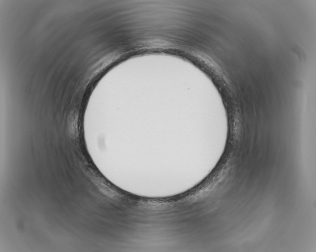 X0000110760873200907271141