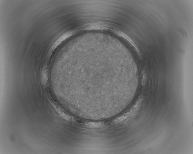 X0000110760874200907271141
