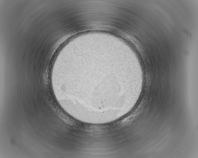 X0000110760875200907271141