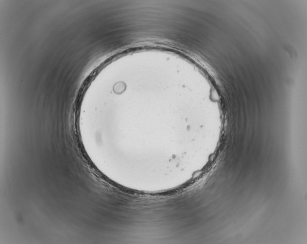 X0000110760877200907271141