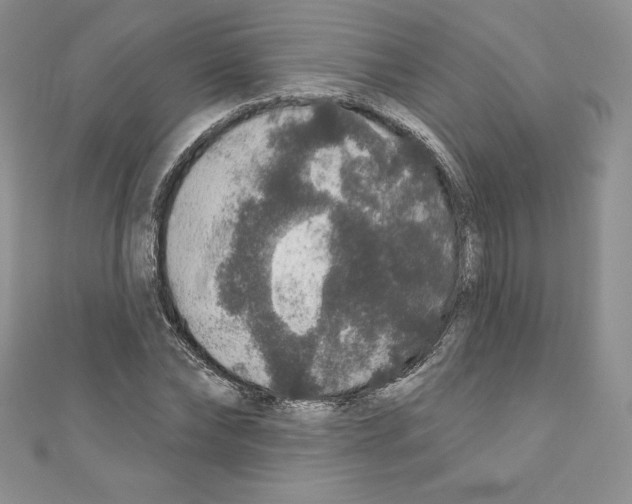 X0000110760878200907271141