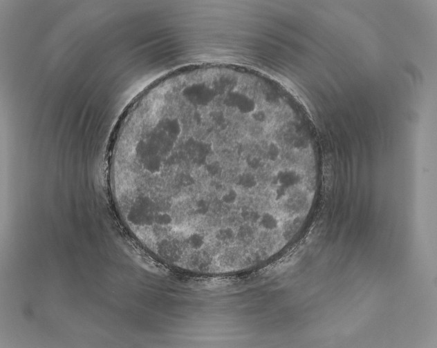 X0000110760879200907271141