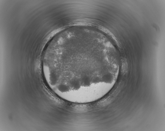 X0000110760882200907271141