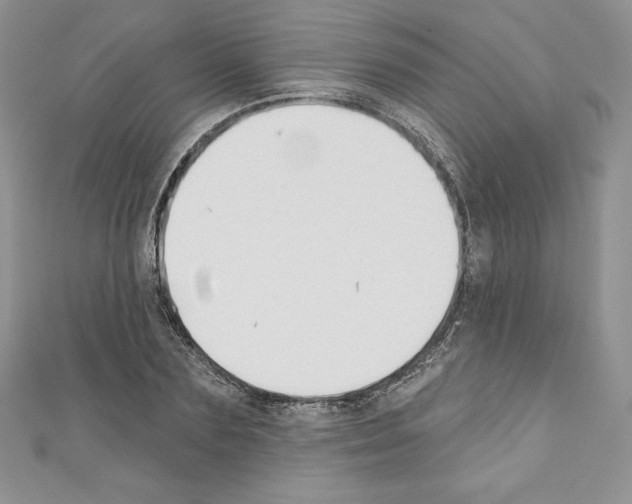 X0000110760883200907271141