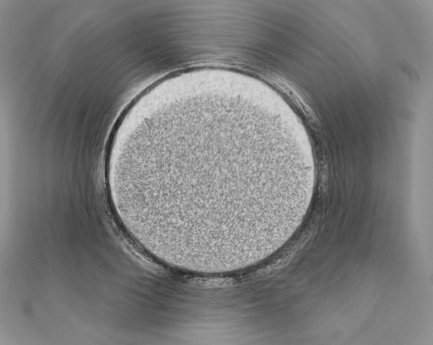 X0000110760884200907271141