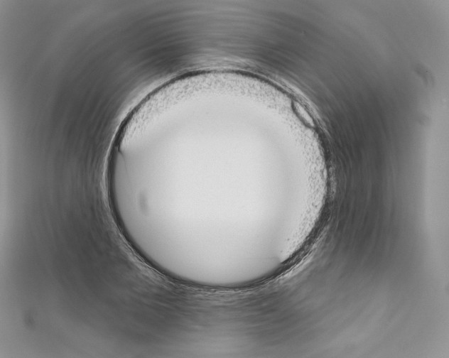 X0000110760885200907271141