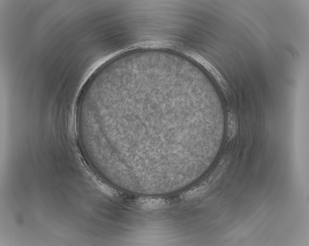 X0000110760886200907271141