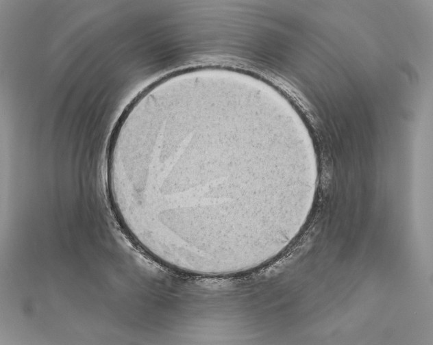 X0000110760888200907271141