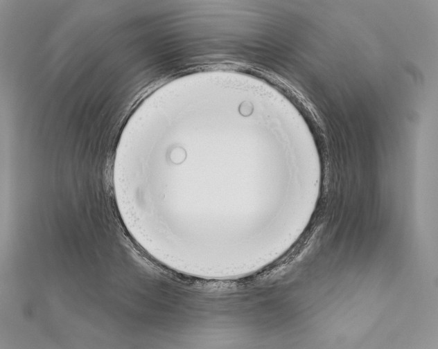 X0000110760889200907271141