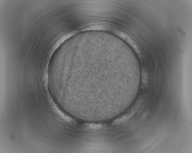 X0000110760890200907271141