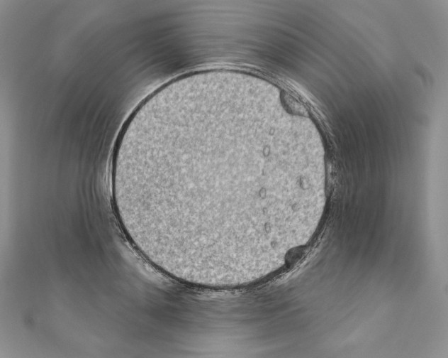 X0000110760892200907271141