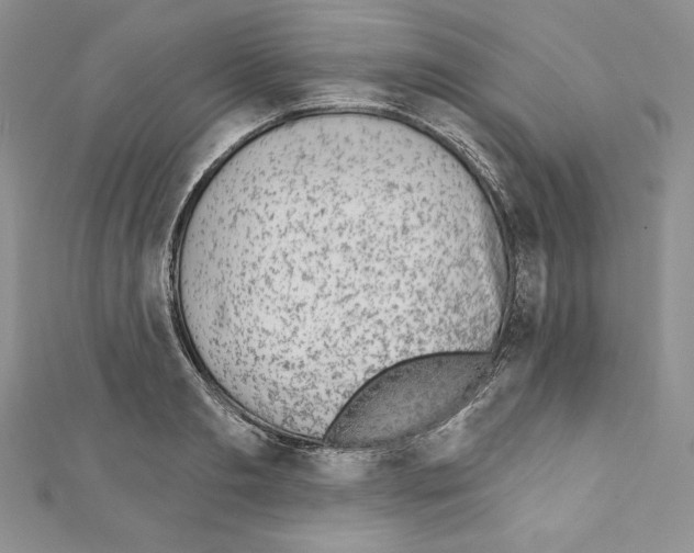 X0000110760893200907271141