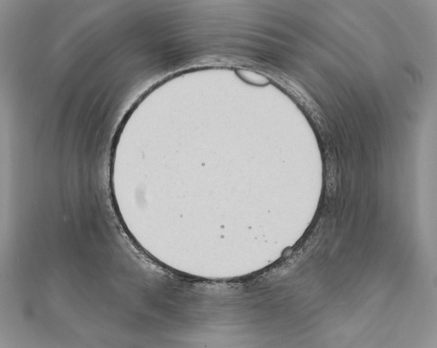 X0000110760896200907271141