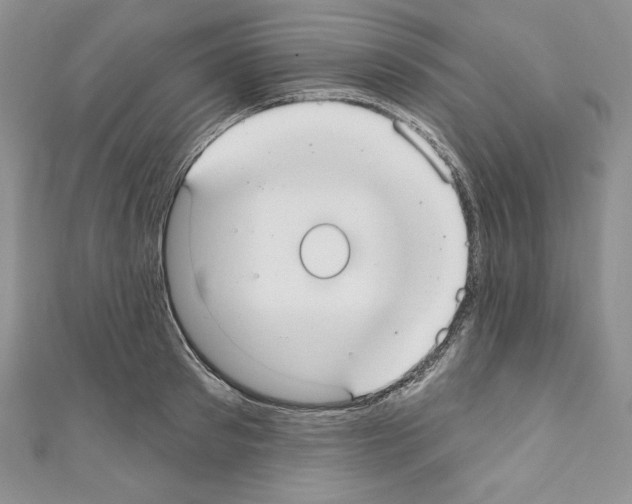 X0000110760897200907271141