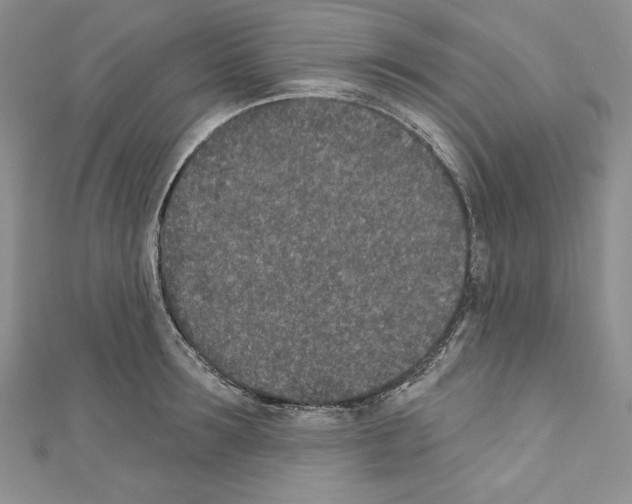 X0000110760899200907271141