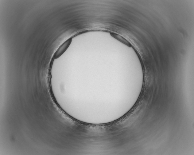 X0000110760901200907271141