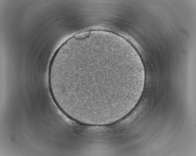 X0000110760902200907271141
