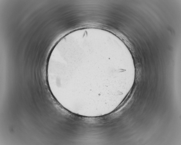 X0000110760904200907271141