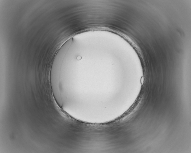 X0000110760905200907271141
