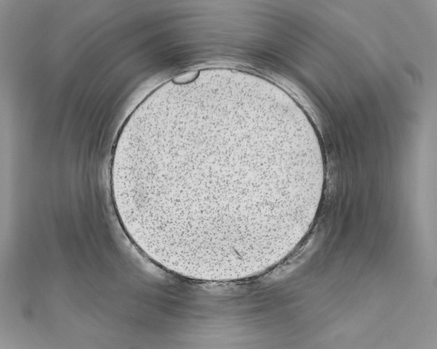 X0000110760906200907271141