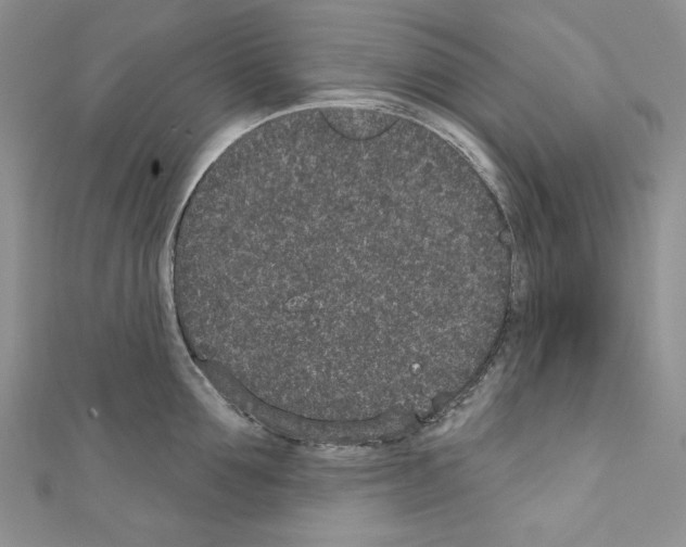 X0000110760907200907271141