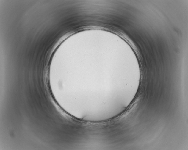 X0000110760909200907271141