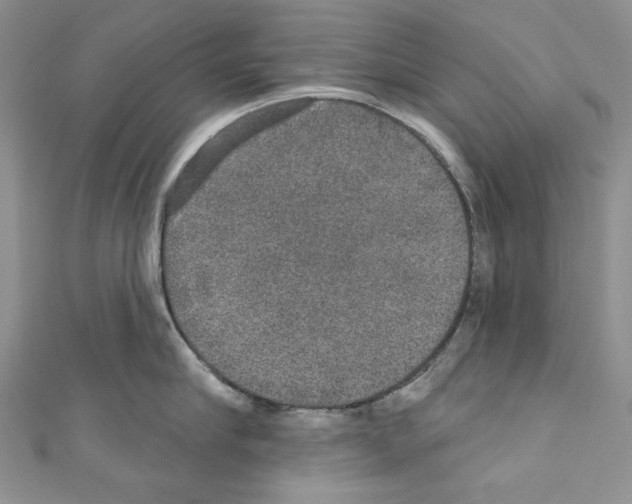 X0000110760910200907271141