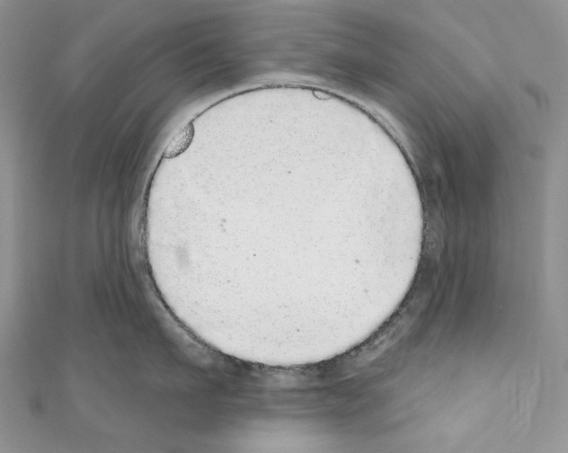 X0000110760911200907271141
