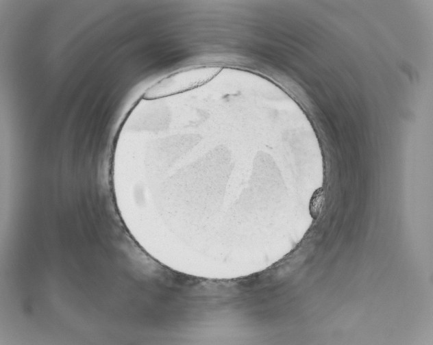 X0000110760912200907271141