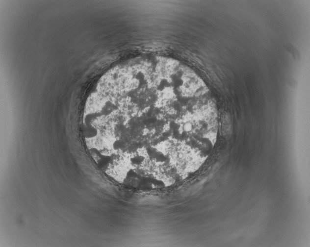 X0000110760913200907271140