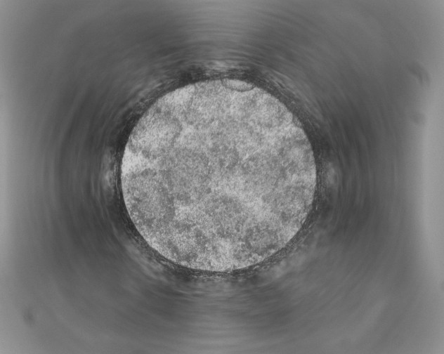 X0000110760914200907271140
