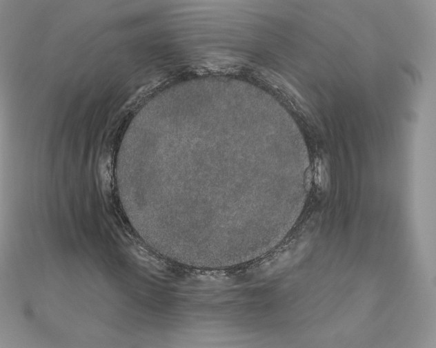 X0000110760915200907271140