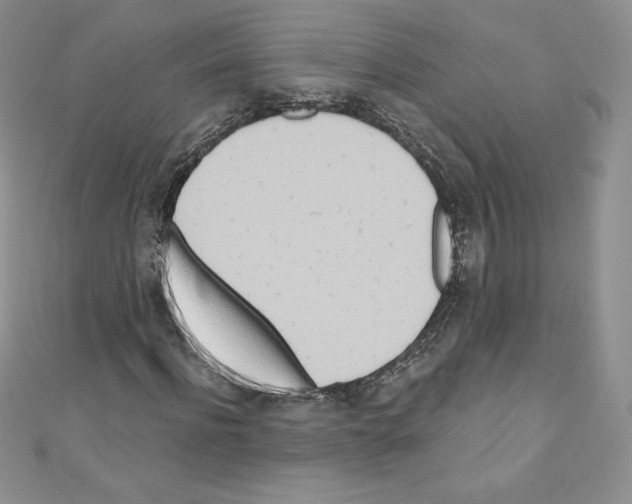 X0000110760916200907271140