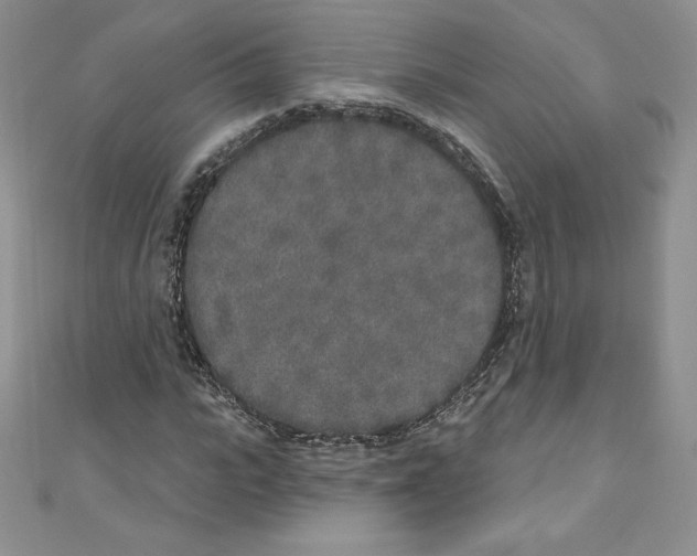 X0000110760919200907271140