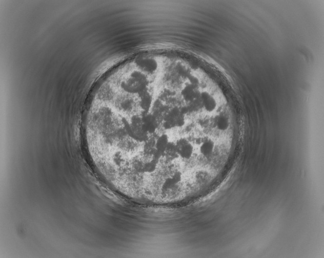 X0000110760921200907271140