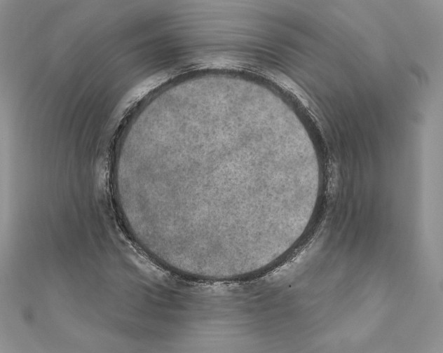 X0000110760922200907271140